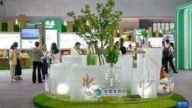 2026年全国生态日主场活动在内蒙古呼伦贝尔市举办