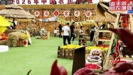 丰收节里助农忙!内蒙古达拉特旗驻村第一书记“组团”带货,本土好物“云”上飘香