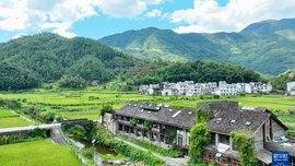 婺源民宿里的“乡愁经济学”