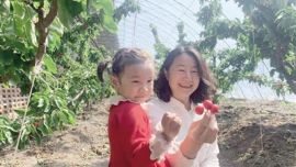 又是一年采摘季