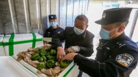 二连边检站：检查前置 助力果蔬快速走出国门
