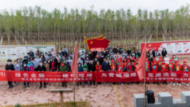 百余名党员和志愿者为首府添新绿