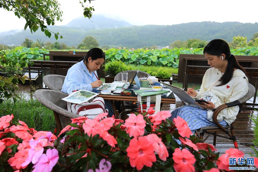 组图|漫步云南夏日 邂逅缤纷假期