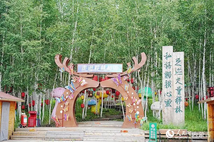 内蒙古呼伦贝尔:林海深处有清境 凤凰山夏景如画