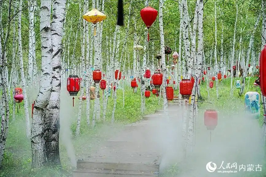 内蒙古呼伦贝尔:林海深处有清境 凤凰山夏景如画