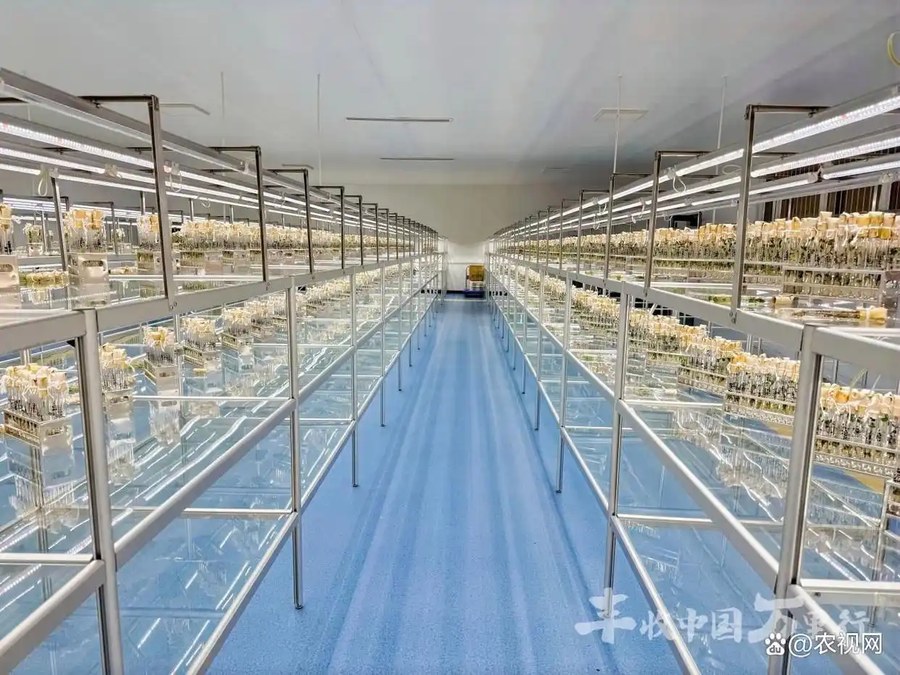 良种沃土 智绘丰景 2026丰收中国万里行走进内蒙古、宁夏、河北