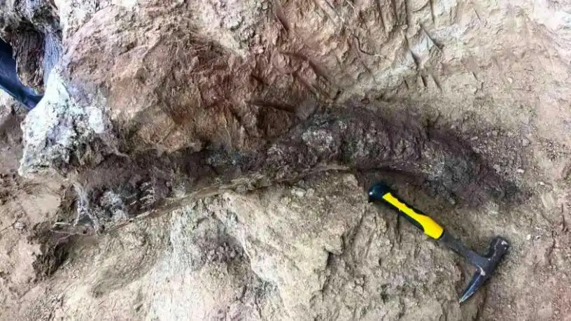距今约20万年,内蒙古一地有重大发现