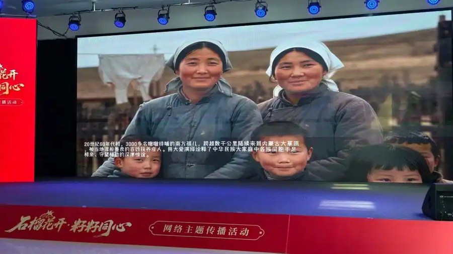 石榴花开,籽籽同心:三项网络主题活动在内蒙古正式启动