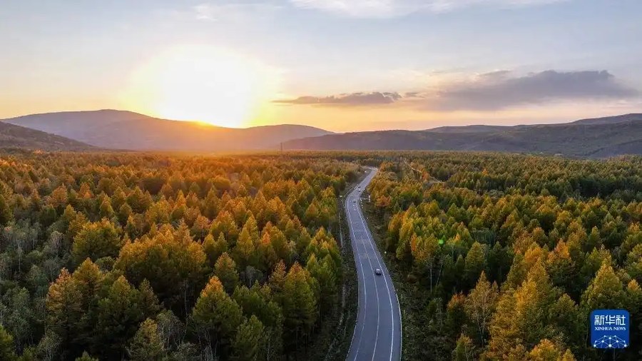美丽中国|内蒙古阿尔山:秋色染林海 观景入佳期