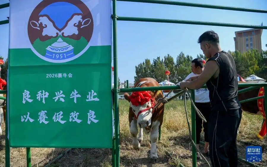 内蒙古通辽:农博园里庆丰收