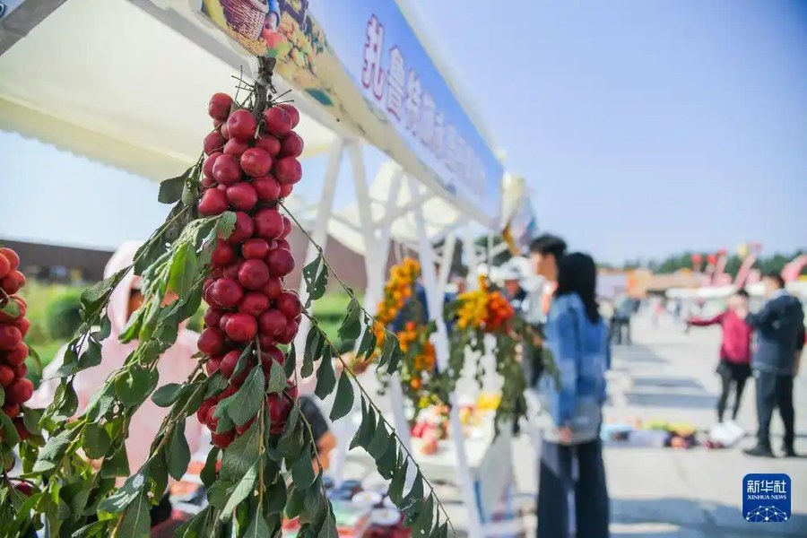 内蒙古通辽:农博园里庆丰收