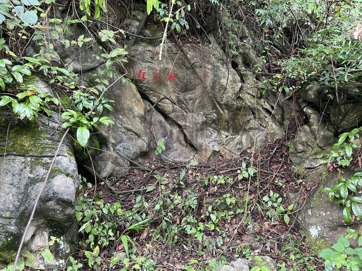 他们没有名字,但有人记得