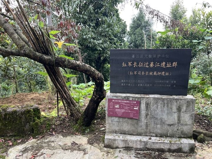 他们没有名字,但有人记得