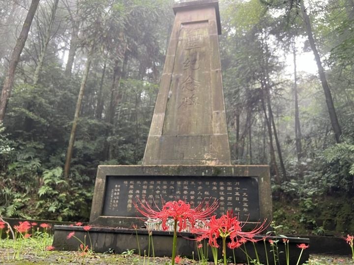 他们没有名字,但有人记得